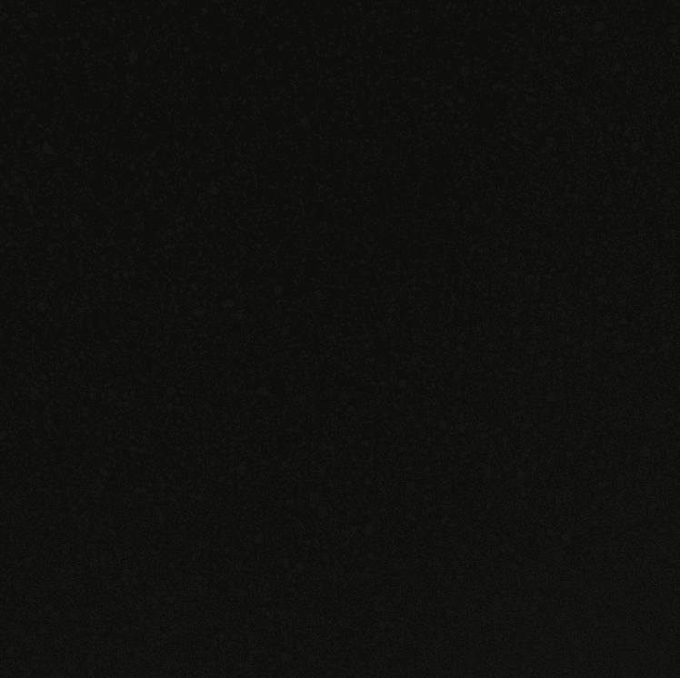 Taurus Black